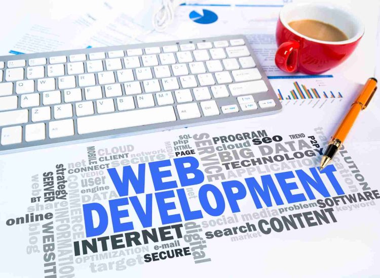 Web Design & Development Services